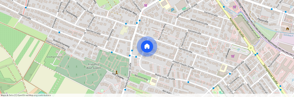 Joseph-Haydn-Straße 1, 65812, Bad Soden Am Taunus