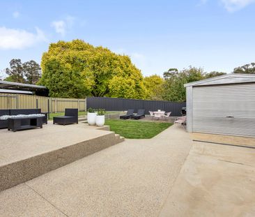 Beautifully Renovated 3 Bedroom Home - Photo 3
