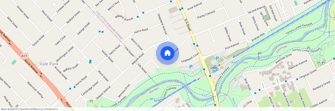 16 Bray Avenue, SA 5087, Klemzig