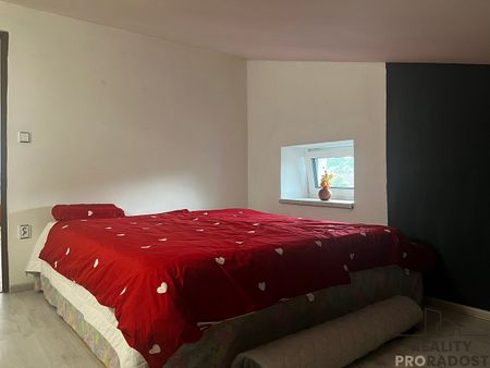 Pronájem domu 130 m² s pozemkem 1 000 m² - Fotografie 3