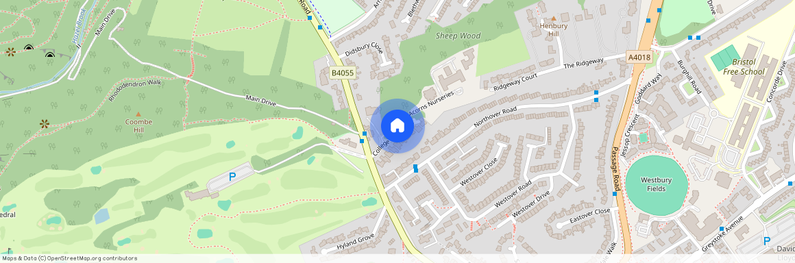 Frances Greeves House College Park Drive Westbury-on-trym Bristol, BS10