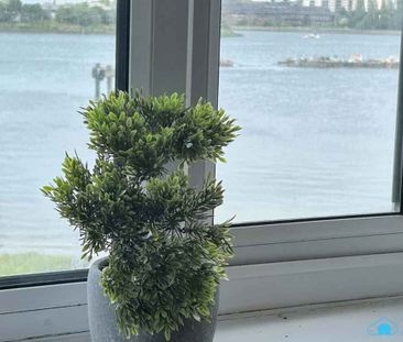 Deluxe En-suite Dolphin House - Photo 4