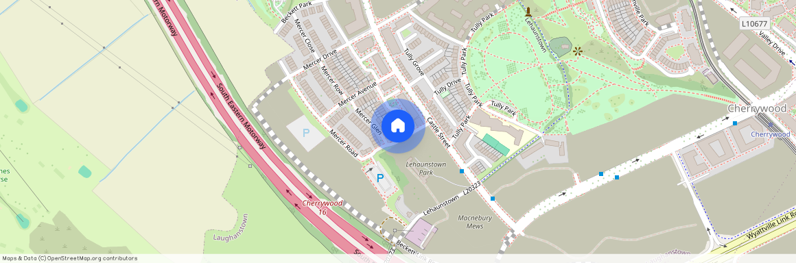 Mercer Court, Mercer Vale, Cherrywood, Dublin 18, D18 T26E