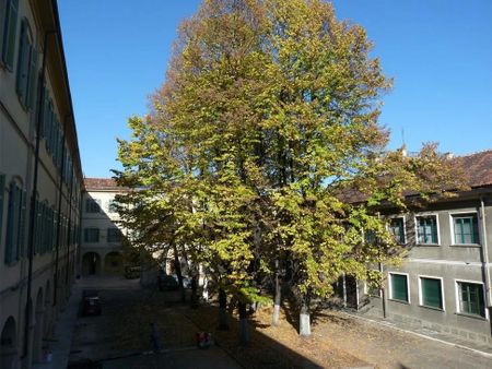 Via Francesco Cigna, Turin, Piedmont 10152 - Photo 5