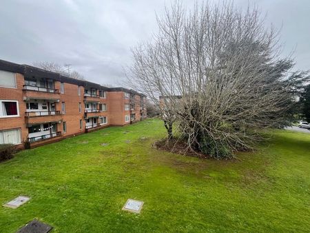 16,Bowood House Harford Drive - Photo 5