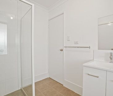 Light, Bright & Renovated Delight - Photo 2