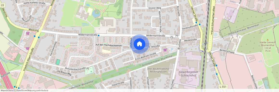 Talstr. 17, 45659, Recklinghausen Ot Mitte