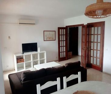 Sevilla, Andalusia 41008 - Photo 3