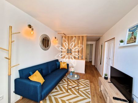 Location Appartement 1 pièce 40m² BRIOUDE 43100 - Photo 3