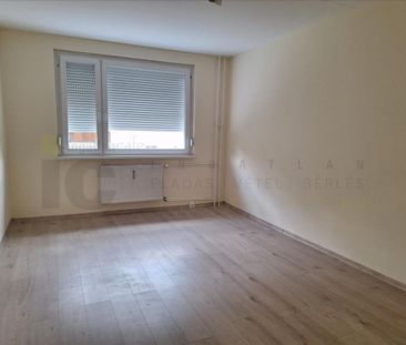 Kiadó újszerű állapotú panel lakás - Szeged - Fotó 6