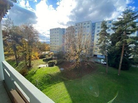 51/2-ROOM APARTMENT IN VOLKETSWIL (ZH), FURNISHED - Photo 3