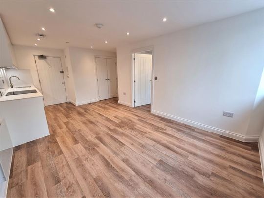 Golden House, Guildford - 1 bedroomProperty for lettings - Seymours - Photo 1