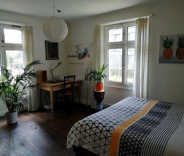 APPARTEMENT 4 PIÈCES À BÂLE - ALTSTADT/KLEINBASEL, MEUBLÉ, TEMPORAIRE - Foto 2