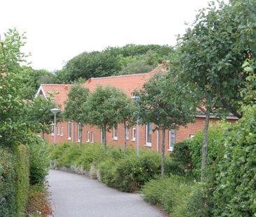 Dannerhøj, Visse og Kirkeageren, Nøvling - Photo 1