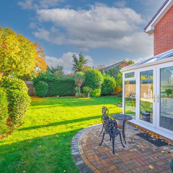 3 bedroom house to rent - Photo 1