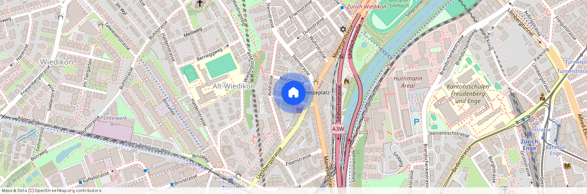 8045, Zürich, Hopfenstrasse, 8