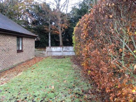 3 bedroom bungalow to rent - Photo 5