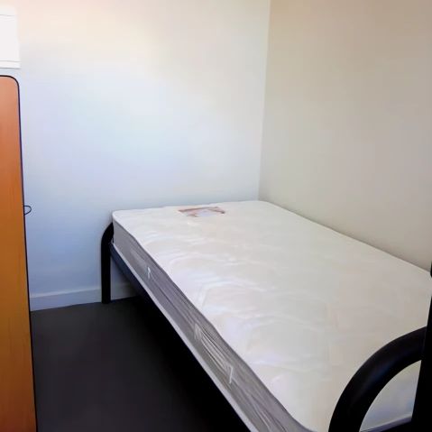 Standard 1 Bedroom - Photo 1