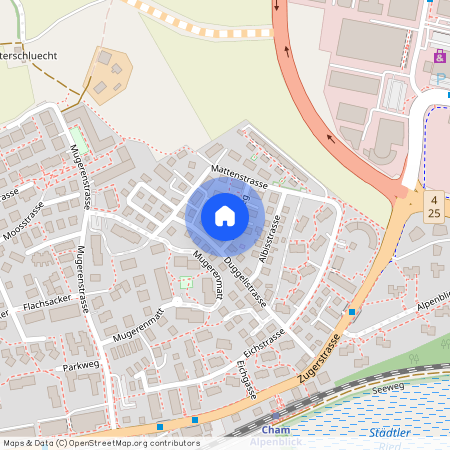 Nelkenweg 1, 6330 Cham