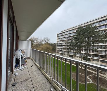 Alsemberg - Photo 5