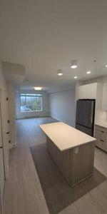 1 bedroom Maple Ridge (River View, Brand New) - Photo 3