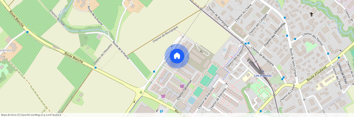 1260, Nyon, 18 Allée de la Petite Prairie, 18A
