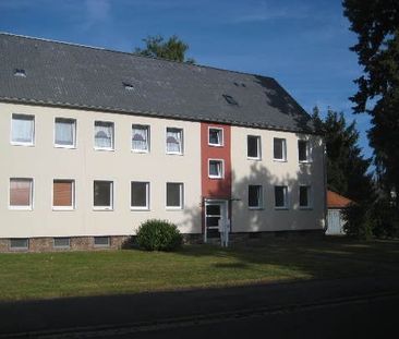 Gemütliche Dachgeschosswohnung für Singles – 2 Zimmer auf ca. 43 m² - Foto 5