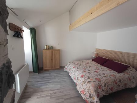 Location Appartement 2 pièces 46m² MILLAU 12100 - Photo 4