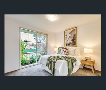 Timbarra Treasure - Photo 3