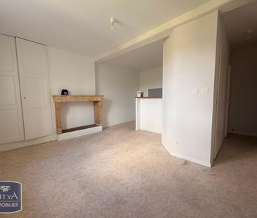 Location Appartement 1 pièce 24m² FLEURIEU SUR SAONE 69250 - Photo 1