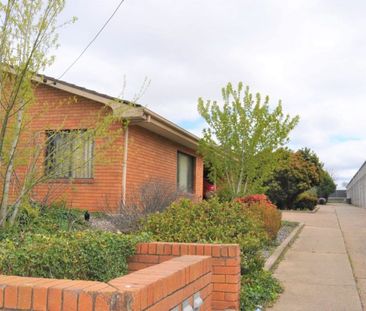 CBD & LOW MAINTENANCE - Photo 4