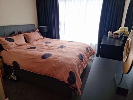 B/8 Murray Place, Kaiapoi - Photo 4