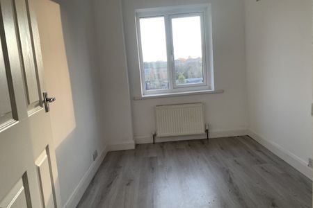 Fern Avenue - Photo 3