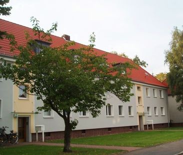 3-Zimmerwohnung mit Balkon in Seelze - Photo 4