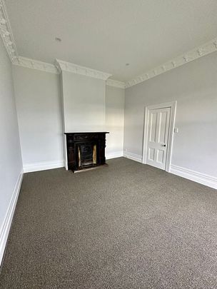 Sunny Renovated 1 Bedroom Flat. Cat friendly - Photo 1