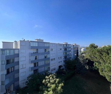 Location appartement 1 pièce 34.25 m² à Montpellier (34000) - Photo 4