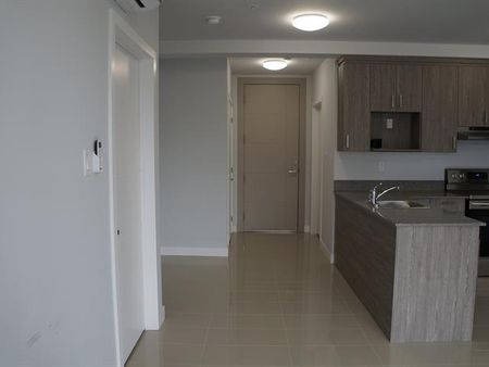 4925 Rue des Érables - Photo 3