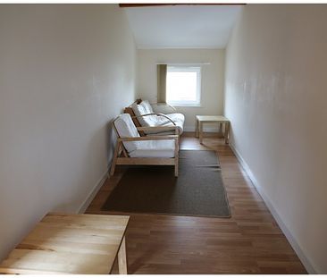 Large 2 Bed Apartment Close to University - Photo 1