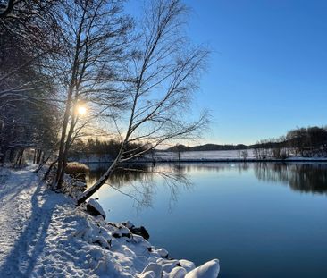Lupinvägen, Sjuntorp - Photo 1