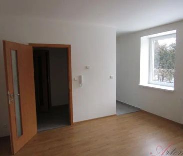 Byt 1+1, prostorný sklep, Topolová, Těrlciko - Photo 2