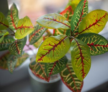 SZCZECIN - Zdjęcie 1