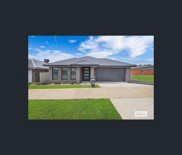 31 Cardiff Street, Wodonga, Vic 3690 - Photo 2