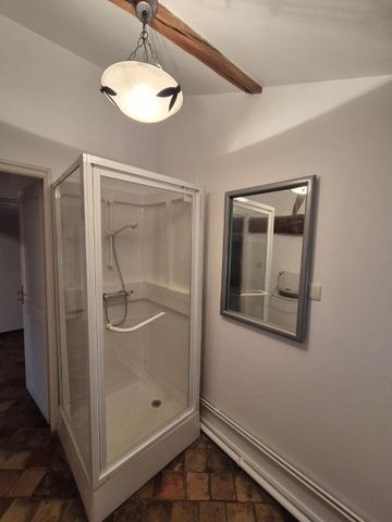 Location Appartement 1 pièce 53m² MACON 71000 - Photo 5