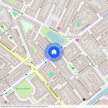 Professorenbuurt, 9714 AE, Korreweg, Groningen