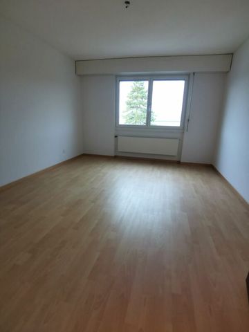 Wunderbare 3.5 Familienwohnung mit Spielplatz. Moderne Küche und Aussicht ins Grüne. - Photo 3