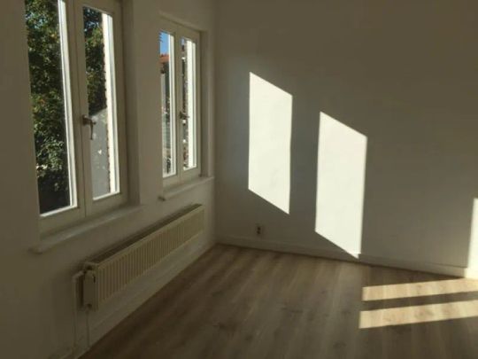 Professor Poelsstraat - Photo 1