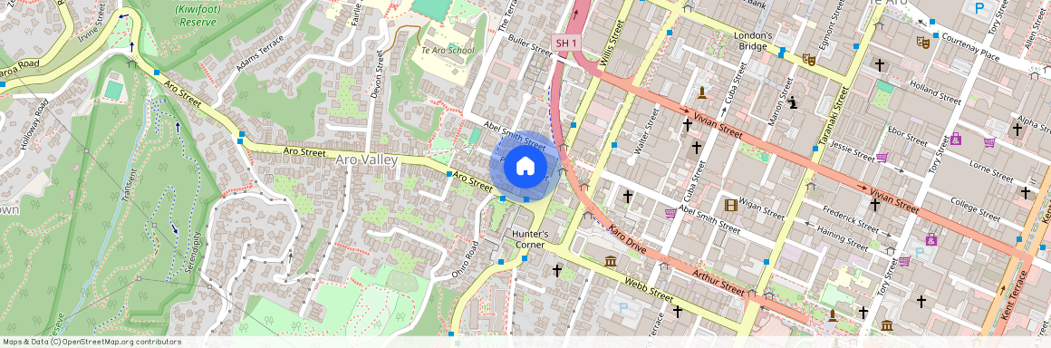 19 Palmer Street, Aro Valley, Wellington City