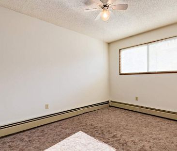 Renovated Suite - 1 Bedroom - Photo 3