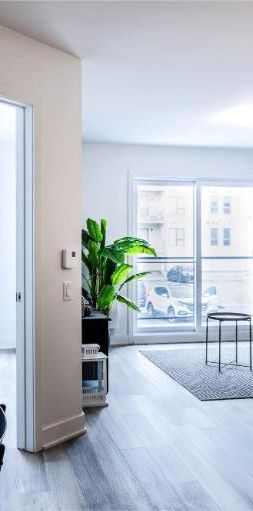 Le Borromée I-IV | 3-4-5 1/2 neufs à louer, SCB - Photo 1