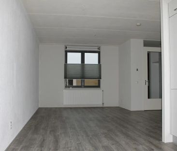 Maison Familiale Hoge Weidesingel 11, Valkenburg (ZH) - À Louer - Foto 1